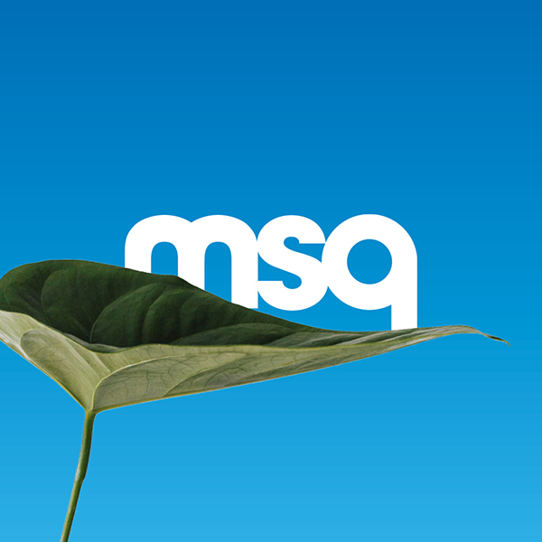 Welcome to MSQ